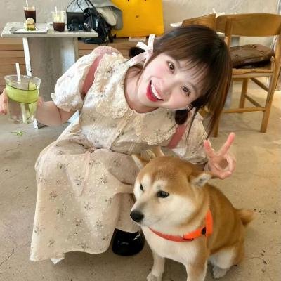 只有猫知道